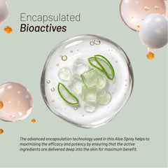 Organic Aloe Hydrating Spray