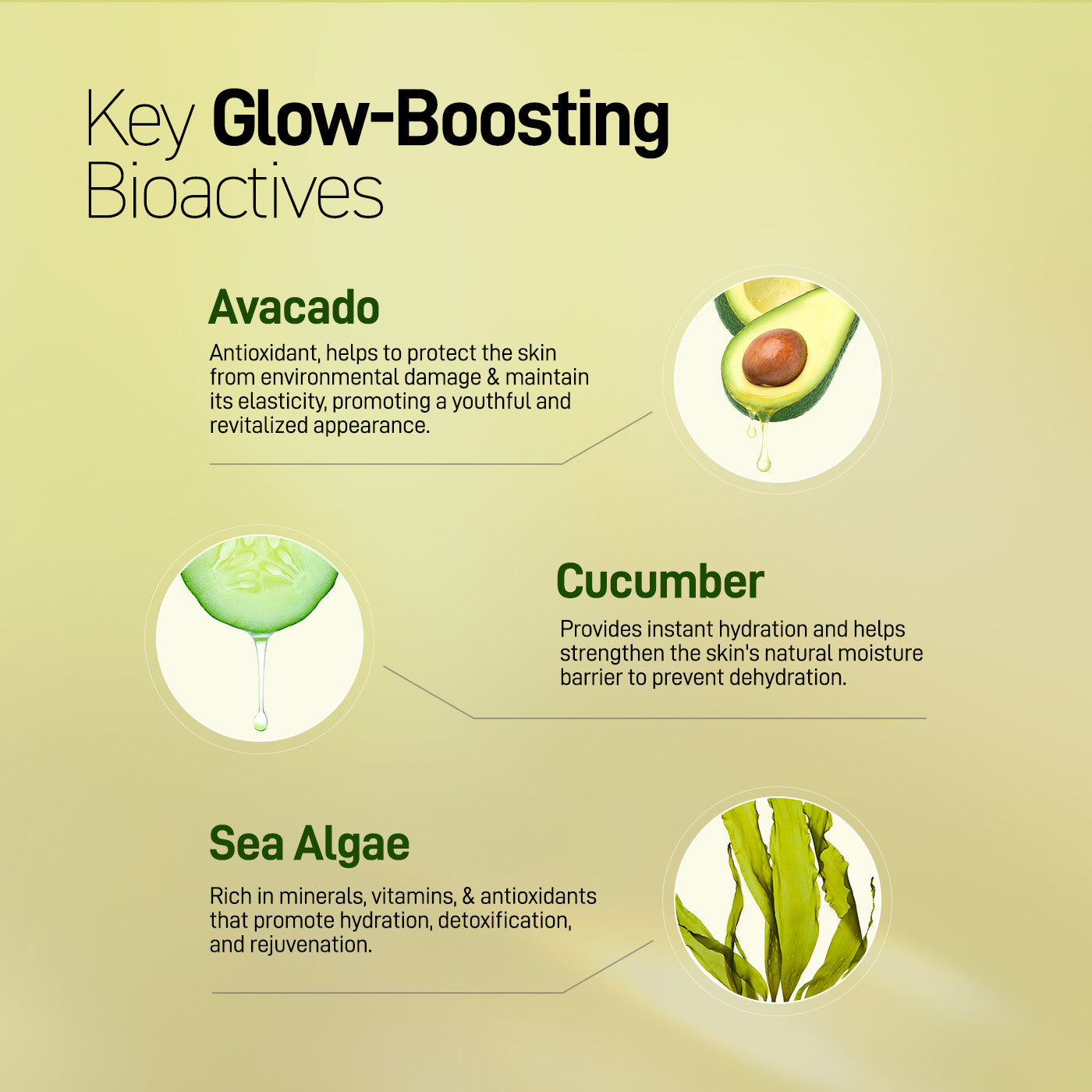 Restoring night serum - Key Bioactives