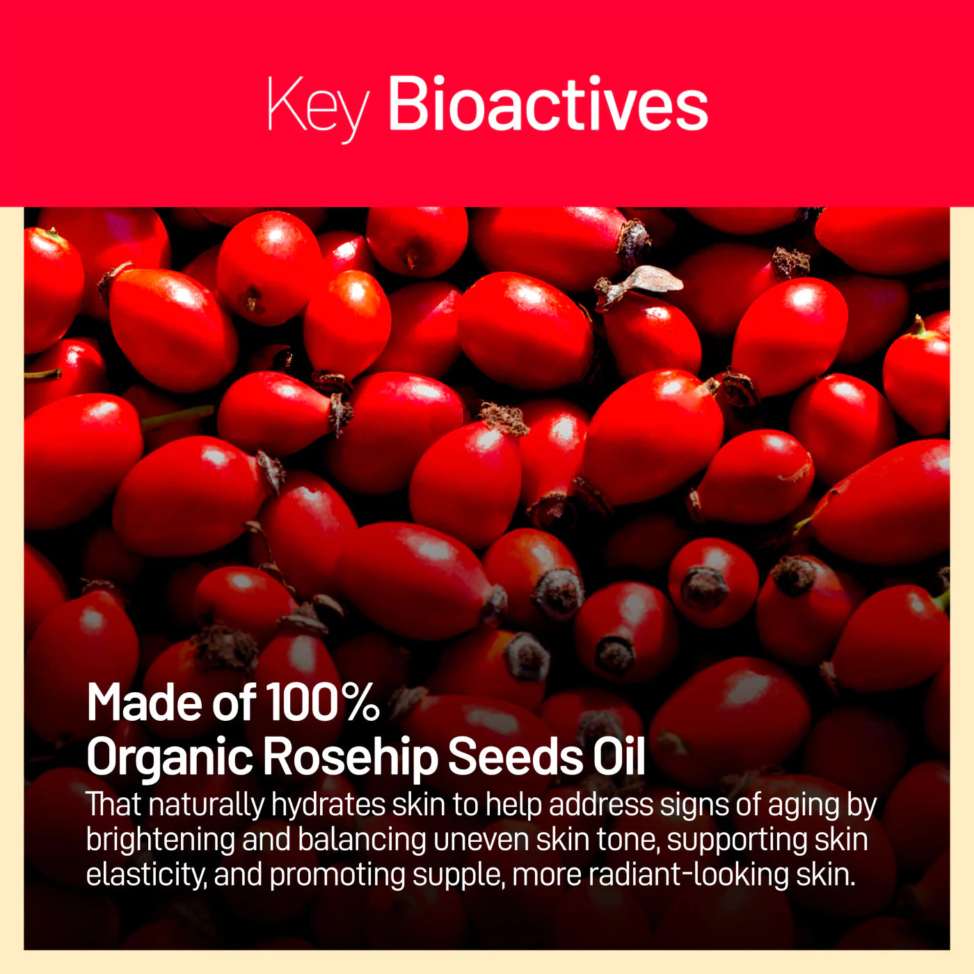 rose seed oil benefits Certified Organic Rosehip Oil